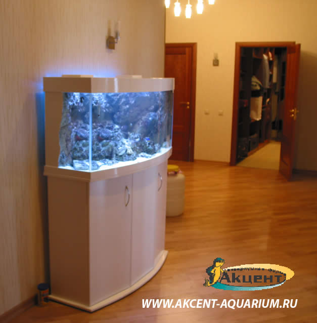 Акцент-аквариум,аквариум морской 200 литров